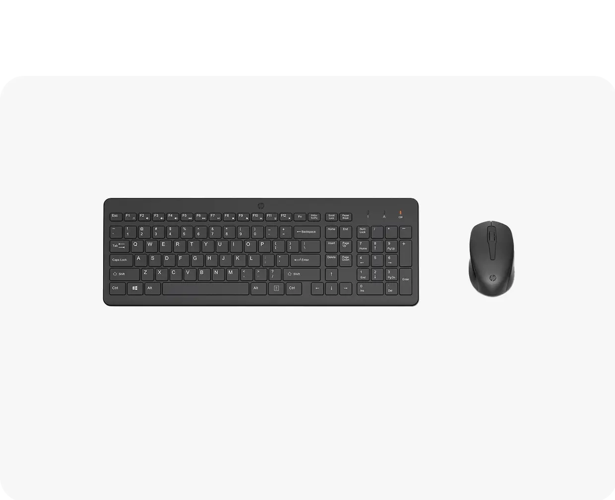 Mouse y Teclados