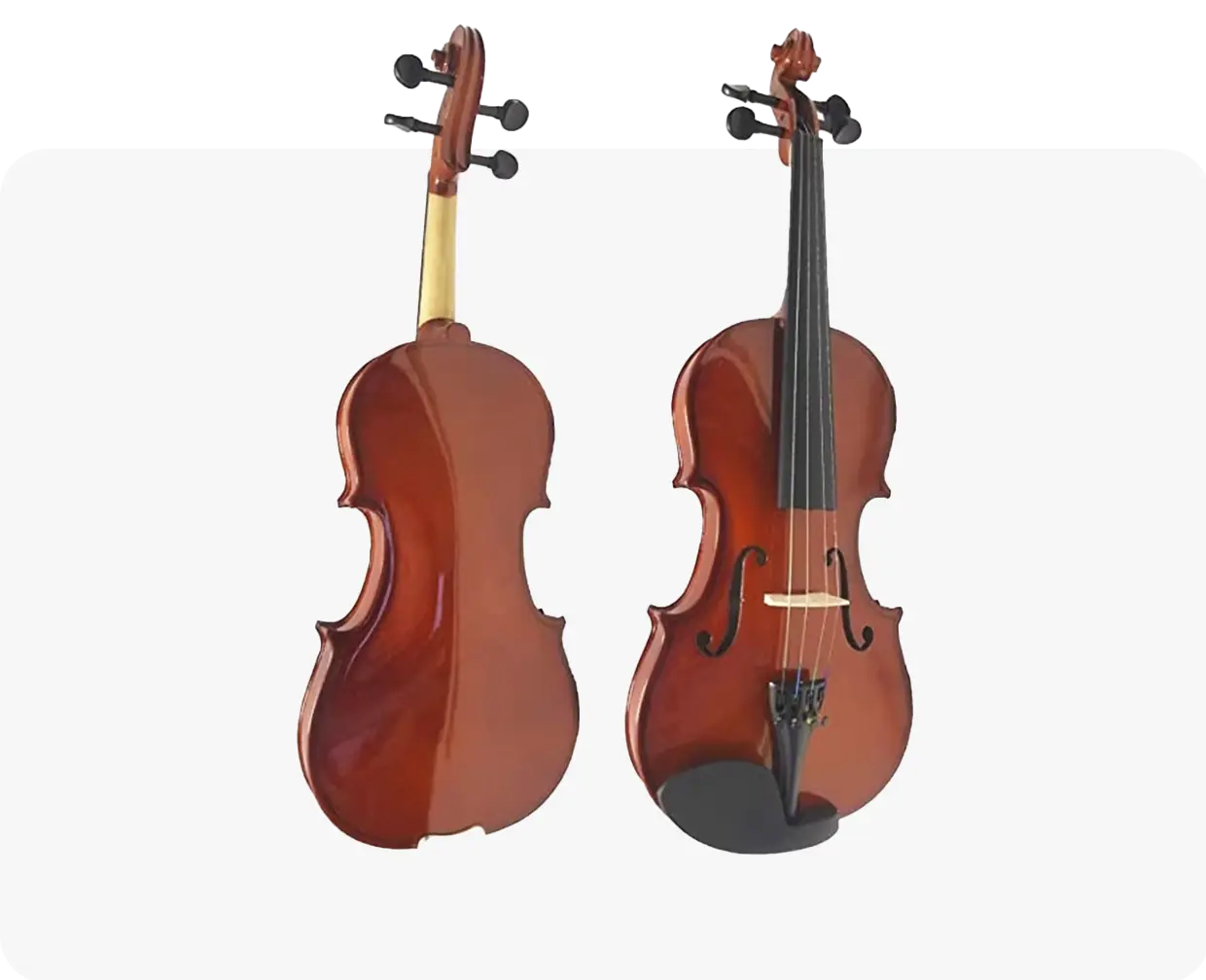 Violines