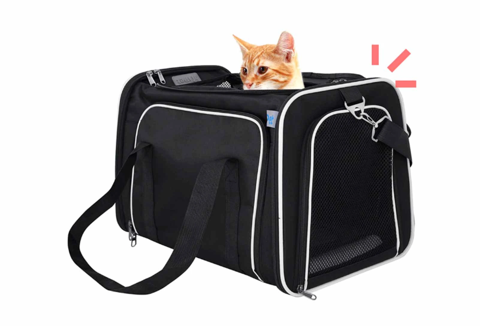 Viajes para animales